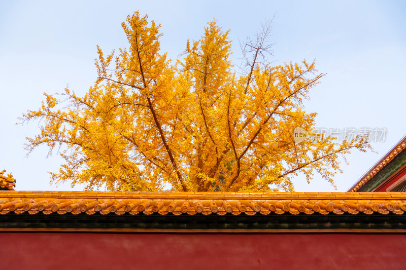 故宫博物院紫禁城东六宫延禧宫风景