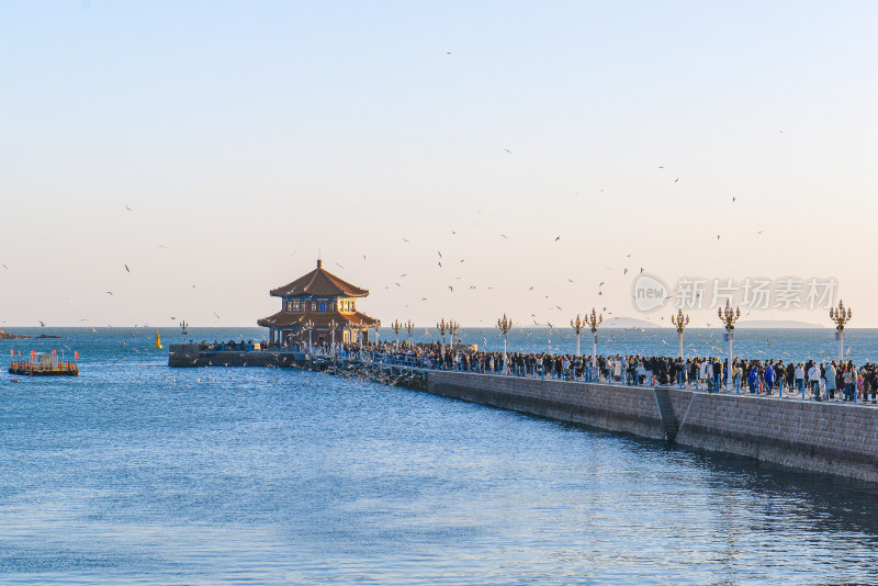 青岛栈桥风光