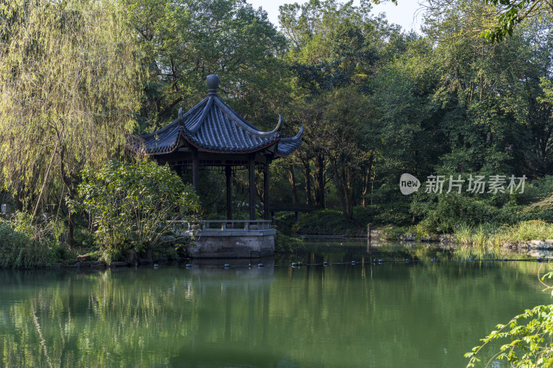 杭州西湖花港观鱼风景