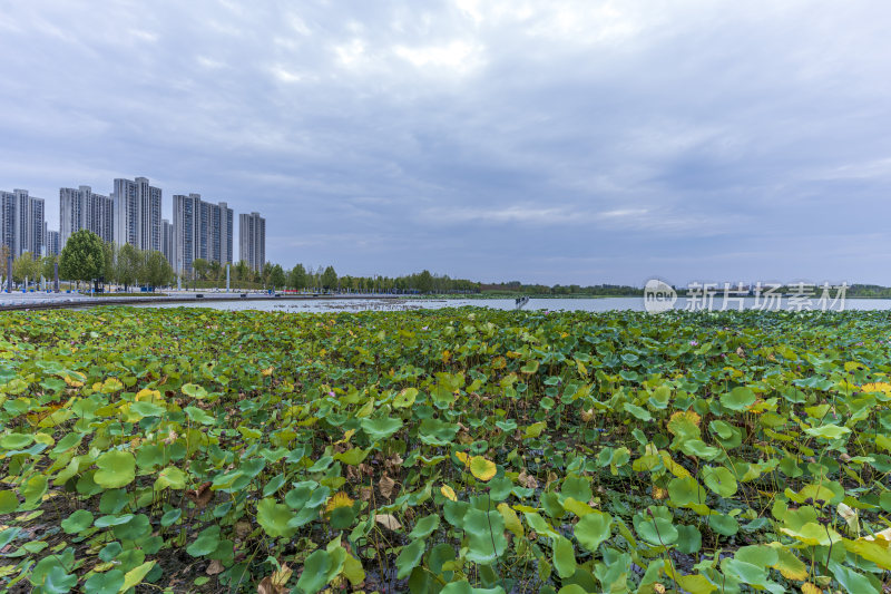 武汉江夏中央大公园风景