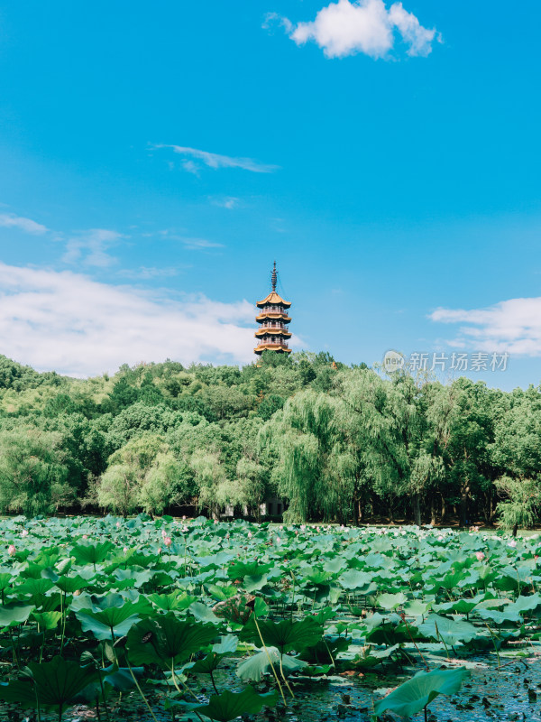 宁波天下玉苑景区