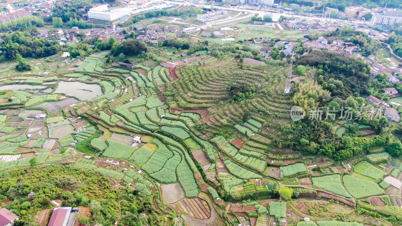 春耕乡村田园