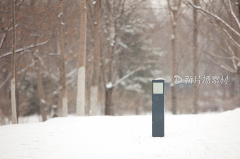 冬天的雪景公园里