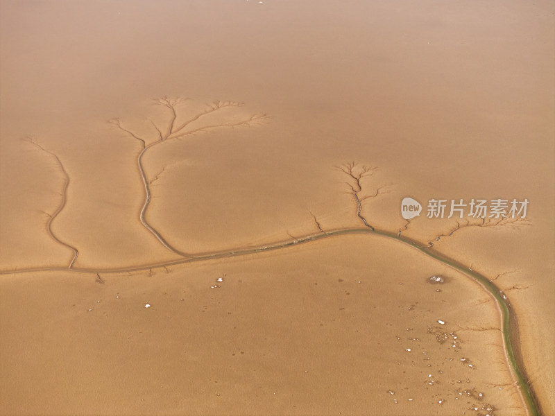 黄河口湿地美景