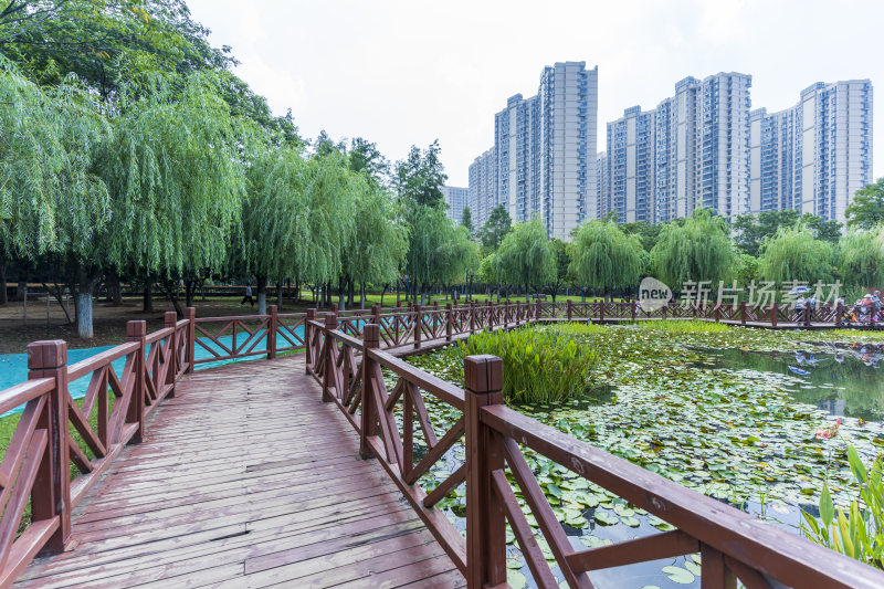 武汉关山荷兰风情园风景