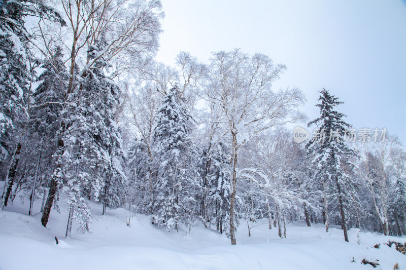 黑龙江 双峰林场 雪乡