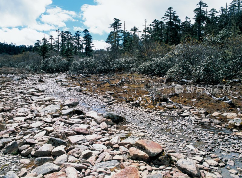 云南香格里拉千湖山