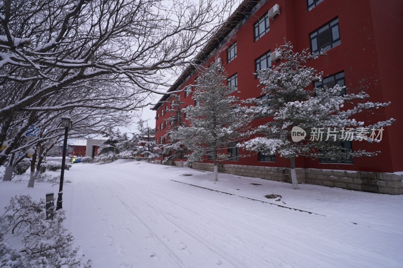 雪后红墙建筑旁积雪道路