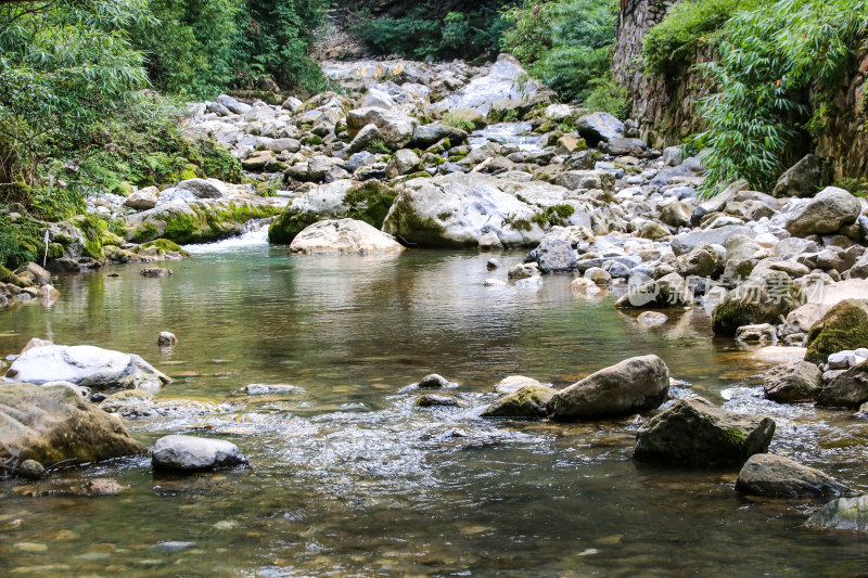 湖北宜昌三峡竹海风景区，自然风光，竹海