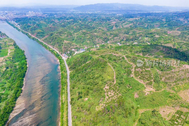 山川丘陵橙子橘子种植基地航拍摄影图