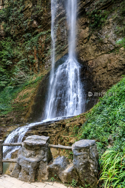 湖北宜昌三峡竹海风景区，自然风光，竹海