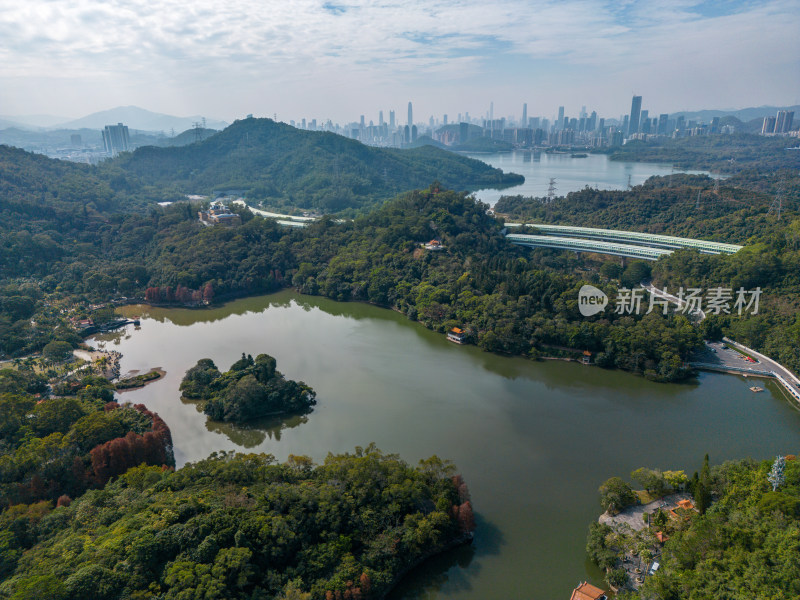 深圳仙湖植物园