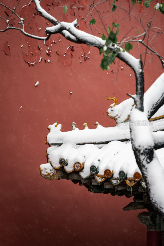 故宫雪景 北京冬天 古建