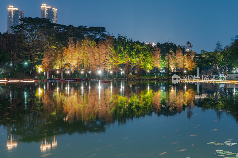 佛山千灯湖南海活水公园落羽杉红叶夜景灯光