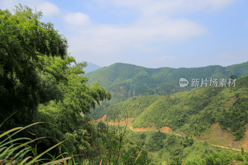 山 山峰 山峦 蓝天 森林