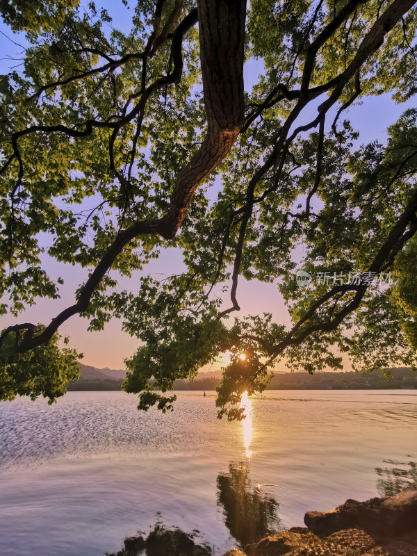 西湖的金色夕阳美景