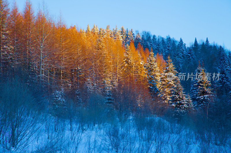 黑龙江 双峰林场 雪乡