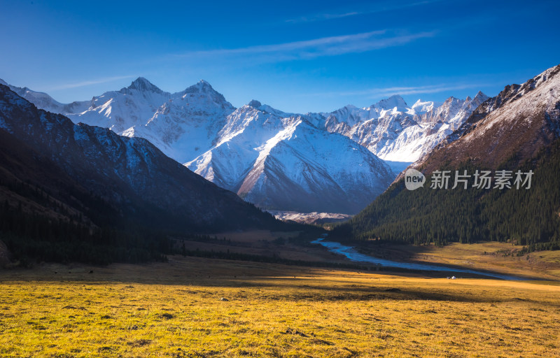 新疆夏塔草原阳光自然风景