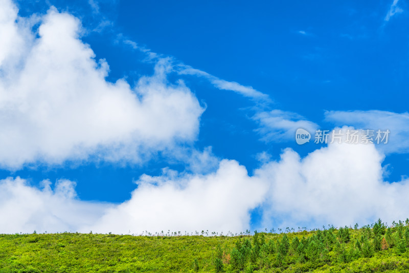 绿色山坡山脊线上的天空蓝天白云美景