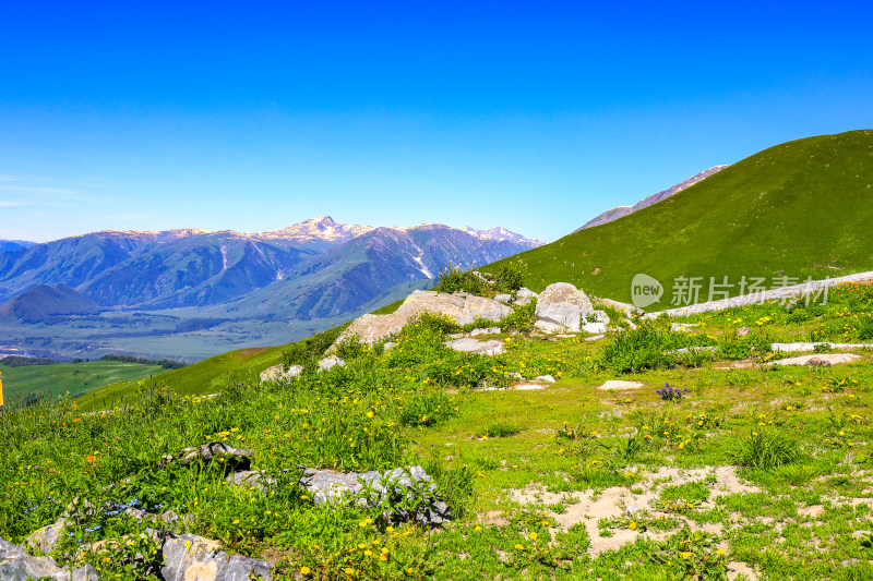 春季新疆大自然山河雪山草原风光