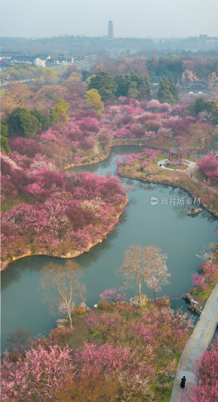 瘦西湖俯瞰繁花似锦的河畔园林