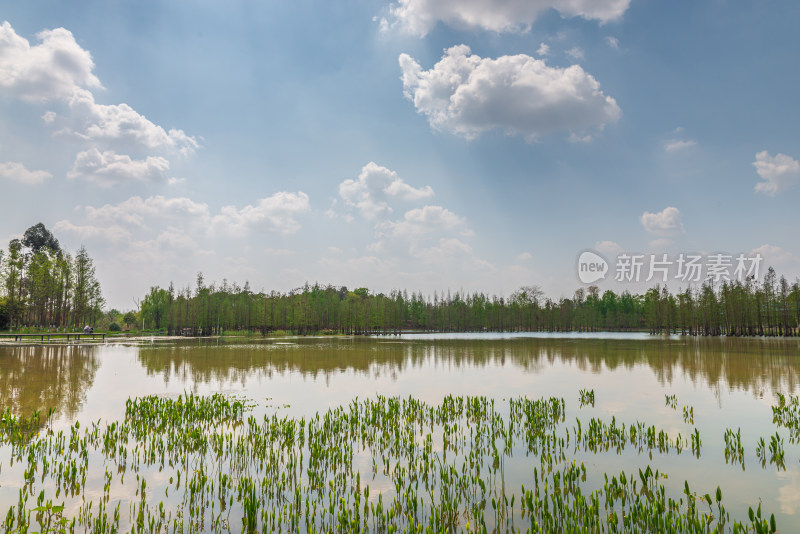 日落时的湖景