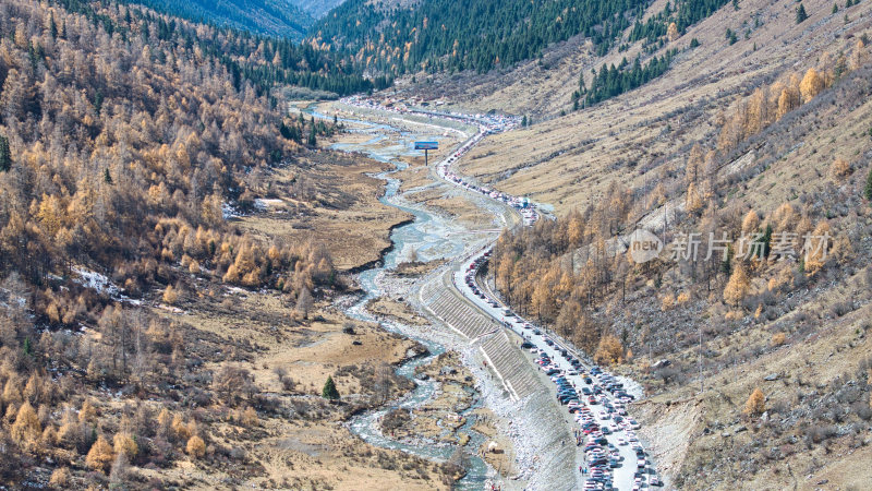 四川西部阿坝理小路的热点大二普营地