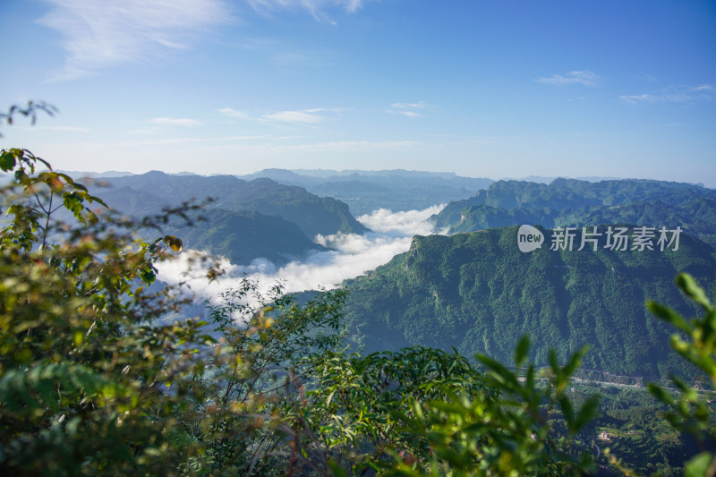 湖北利川文斗镇茶园边云雾缭绕的清晨