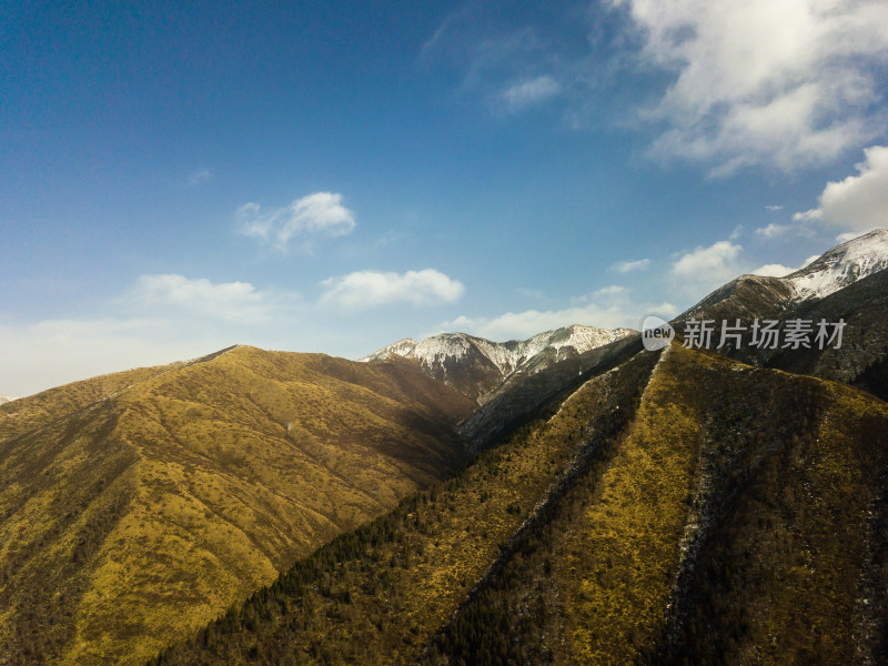 航拍冬季的森林滑雪场