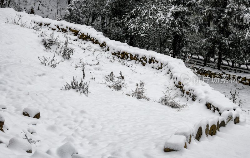 重庆酉阳：千氹田边飞白雪