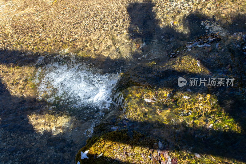 阳光下的溪流与绿苔