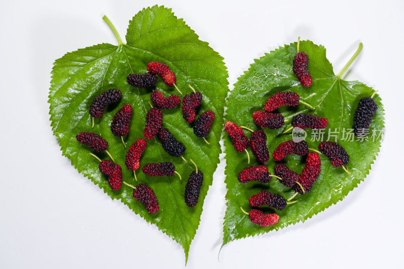 美食水果桑葚绿叶红色果实成熟
