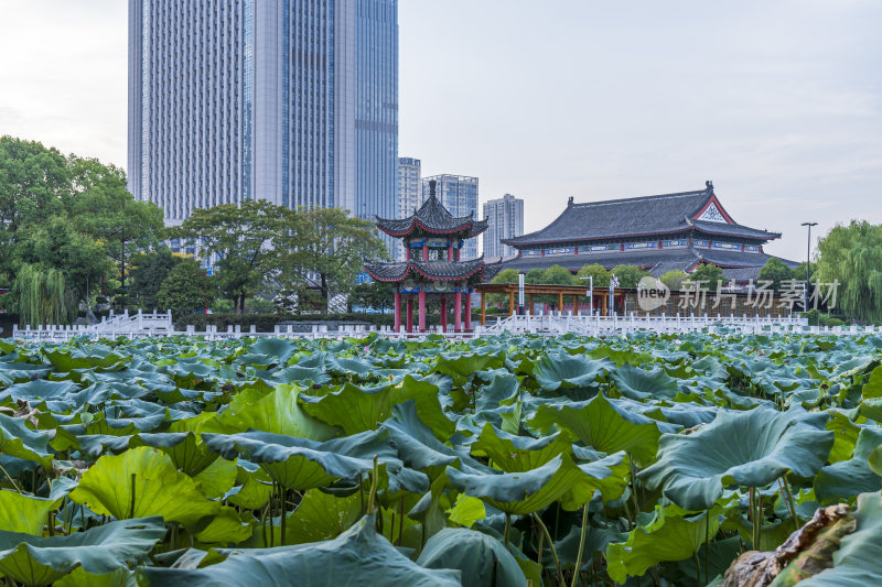 武汉江夏区谭鑫培公园风景