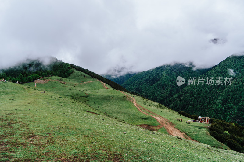 阿坝州四姑娘山海子沟