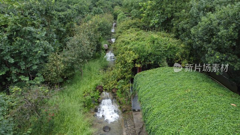 广东东莞：银瓶山树林溪涧流水潺潺