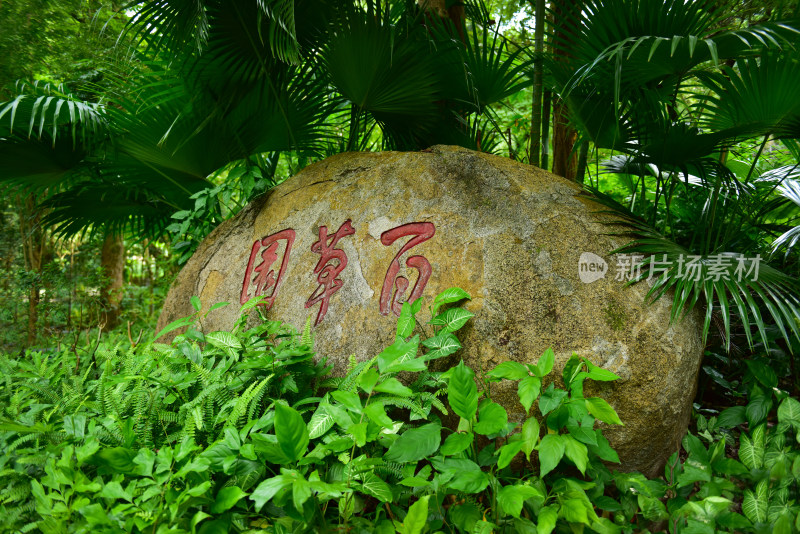 惠州市博罗县罗浮山风景名胜区朱明洞景区