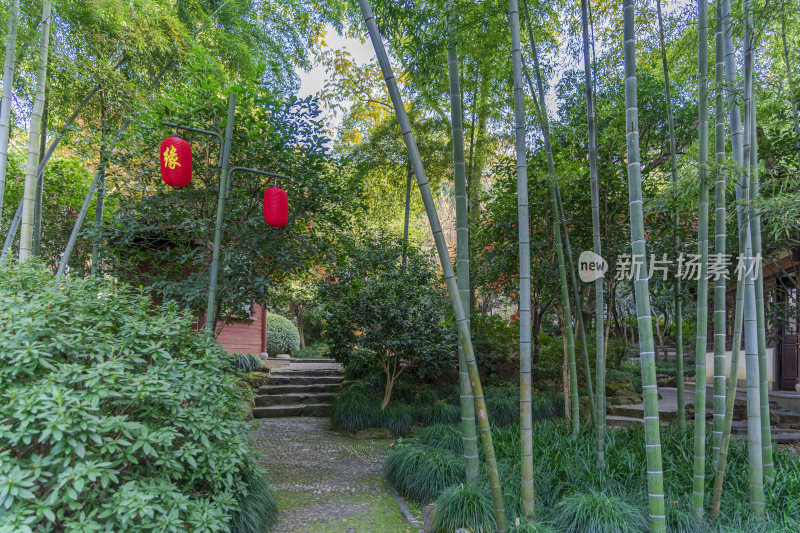 杭州栖霞岭黄龙洞景点风景