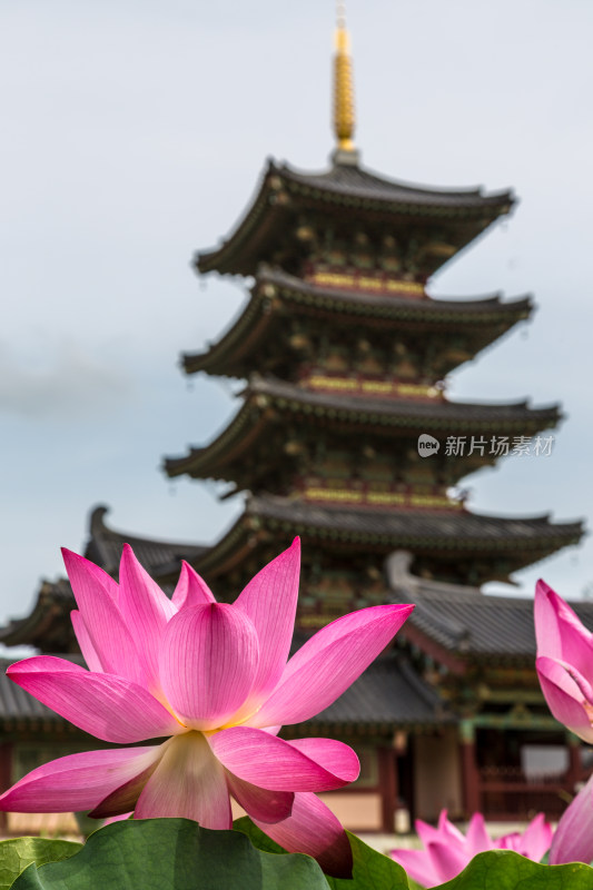 韩国锦山凌寺