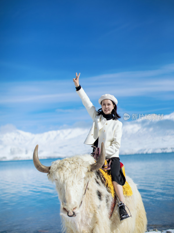 雪山湖泊蓝天白云美女坐在牦牛上