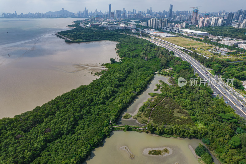 深圳市福田红树林保护区