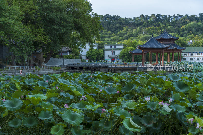 武汉汉阳莲花湖公园园林风光