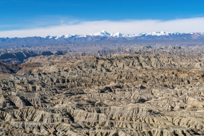 西藏阿里札达土林高原荒凉戈壁与雪山远景