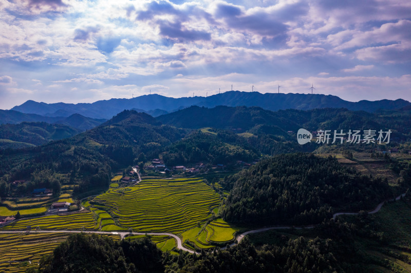 山川丘陵金黄稻田梯田航拍摄影图