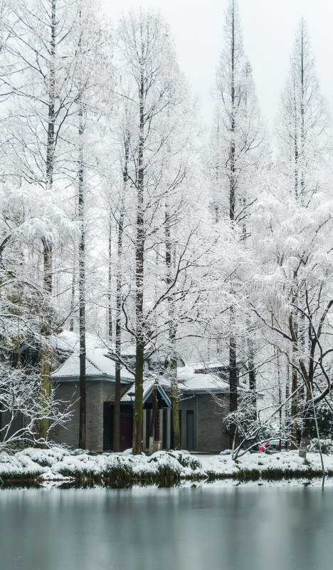 杭州市西湖雪景