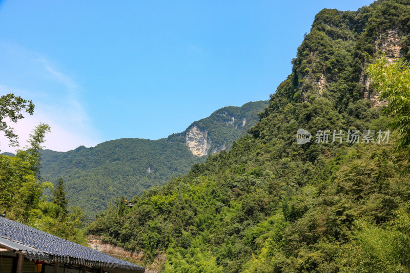 湖北宜昌三峡竹海风景区，自然风光，竹海