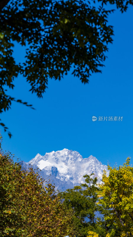 丽江古城黑龙潭景