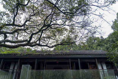 杭州宝石山景区宝云寺遗址