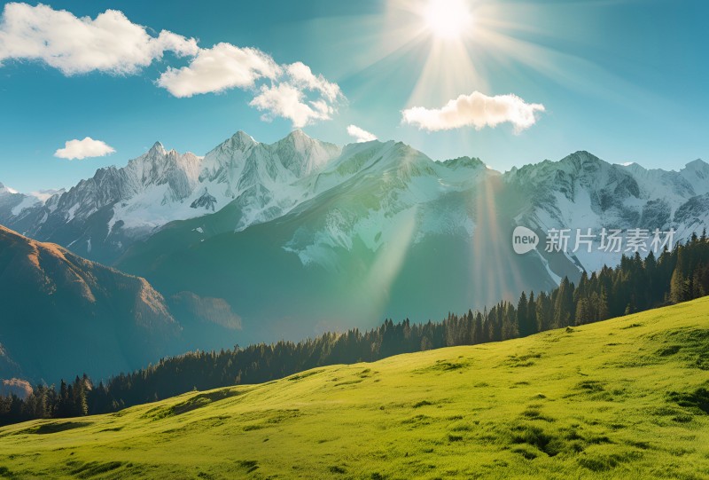 雪山草原森林风景