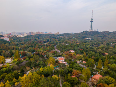 青岛中山公园航拍全景鸟瞰