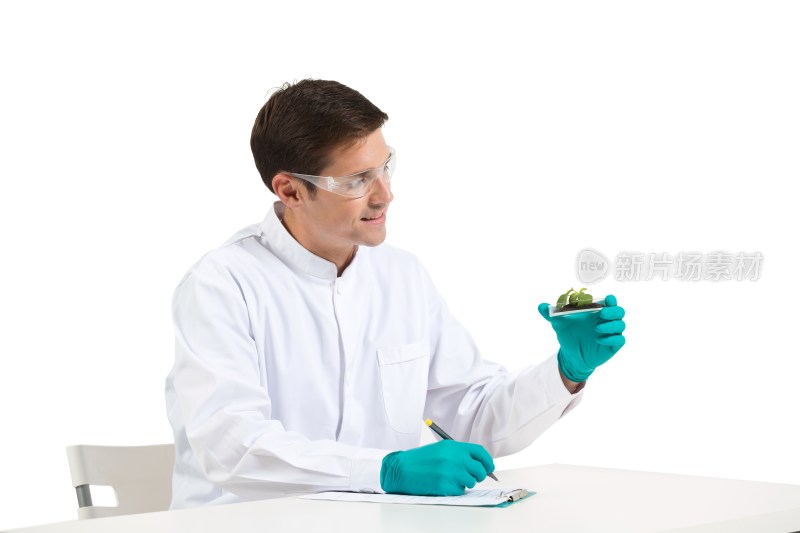 外籍男科学家在实验室研究植物